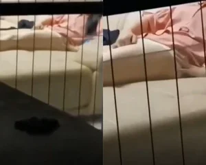 Quay lén em hàng xóm móc lồn trên ghế sofa phòng khách