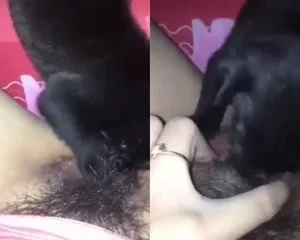 Em gái nứng lồn cho chó liếm